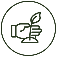 kids learning hands on in nature wildlings forest school