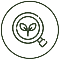 kids learning in nature wildlings school