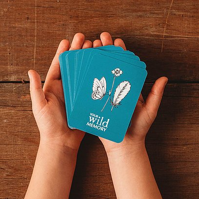 Your Wild Card Games- Wild Memory and Wild Quiz