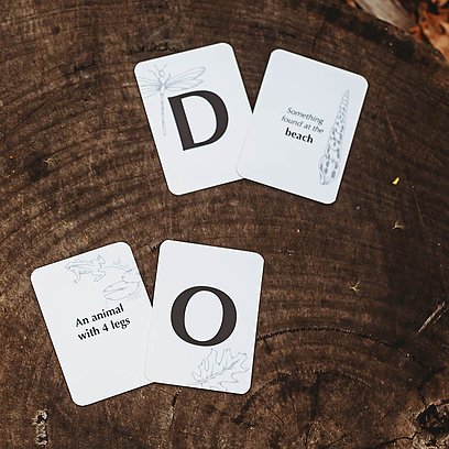 Your Wild Card Games- Wild Memory and Wild Quiz