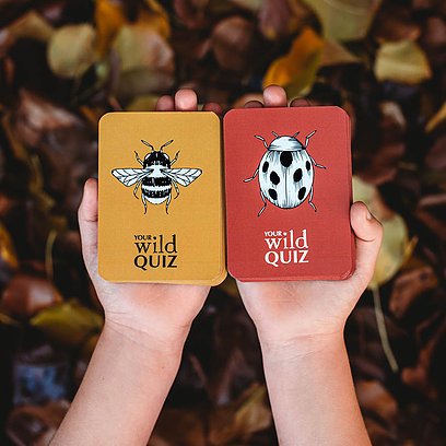 Your Wild Card Games- Wild Memory and Wild Quiz