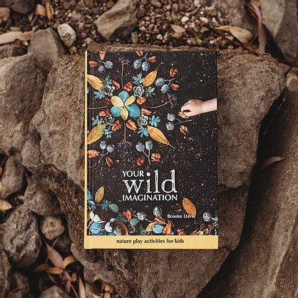 Your Wild Imagination - Brooke Davis