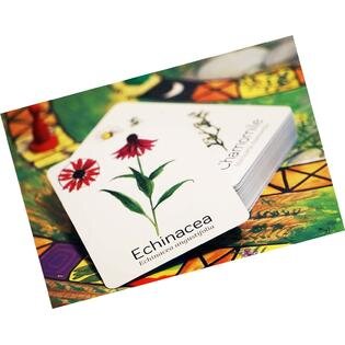 Wildcraft! A Herbal Adventure Game