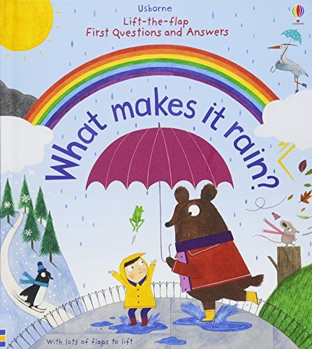 What Makes it Rain? Usborne Lift-the-Flap First Questions and Answers